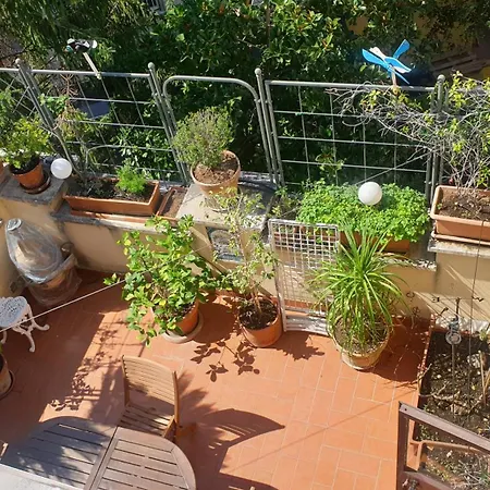 2mg: Con Terrazzo Nel Cuore Di Roma! アパート ローマ